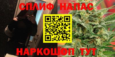 ПСИЛОЦИБИНОВЫЕ ГРИБЫ Новокубанск