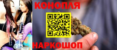 крисы Обь