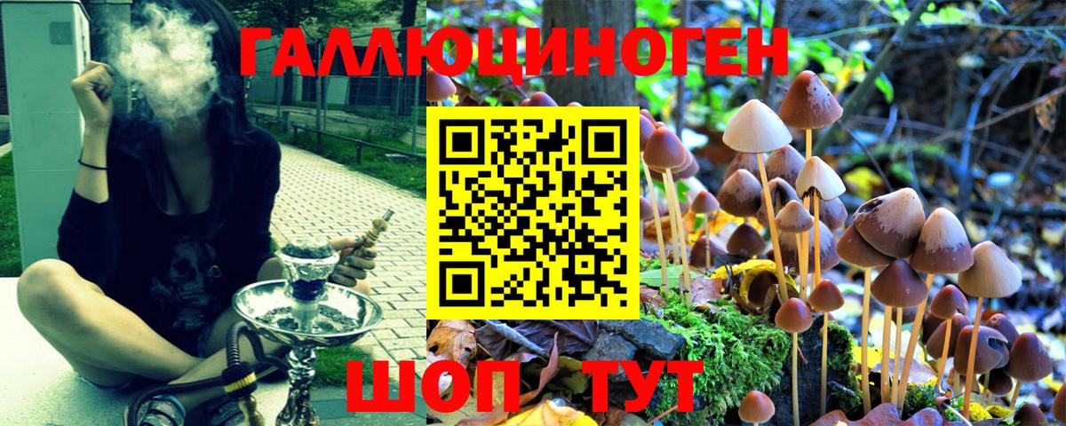 Галлюциногенные грибы мицелий  Вход с VPN  Соликамск  Галлюциногенные грибы прущие грибы 